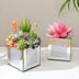 6er-Set Bling Quadratische Spiegelglasvasen